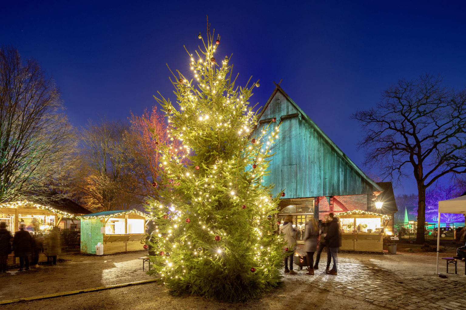 Westfälischer Weihnachtsmarkt MühlenhofFreilichtmuseum Münster
